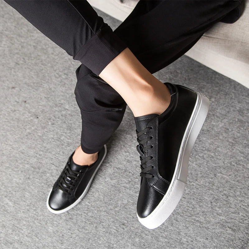 Ashgrove Versatile Trainer I