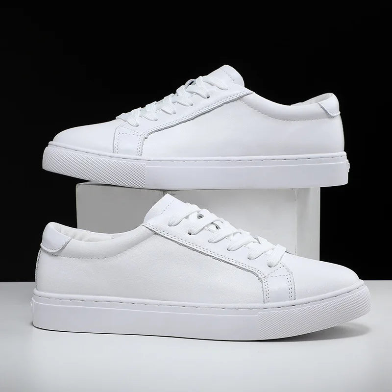 Ashgrove Versatile Trainer