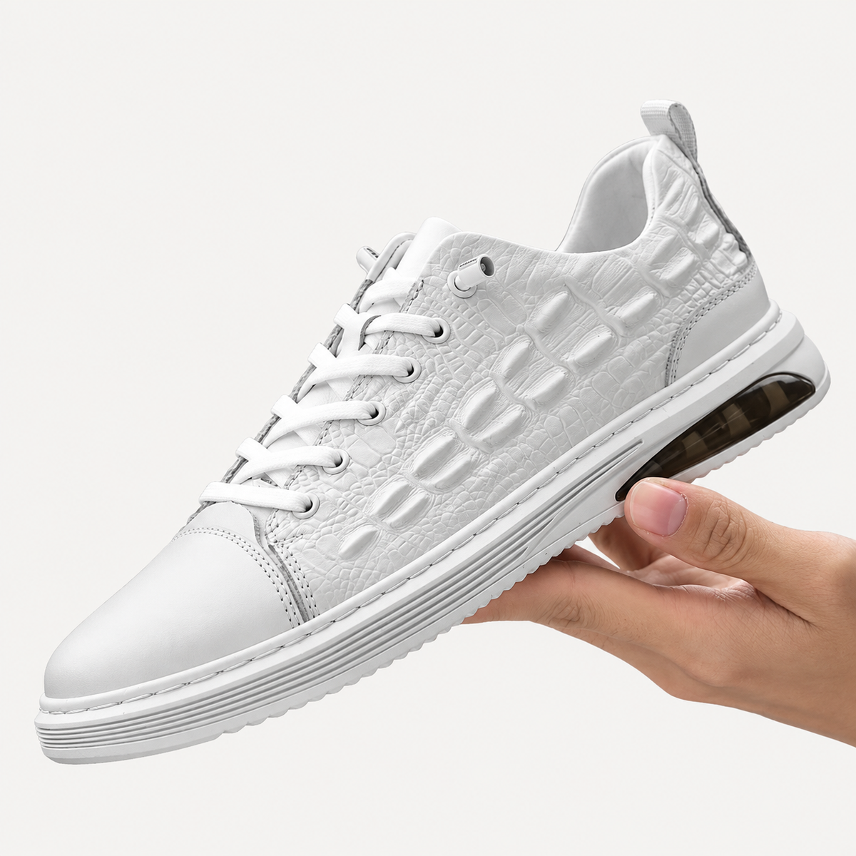 Fairfax Board Trainer I